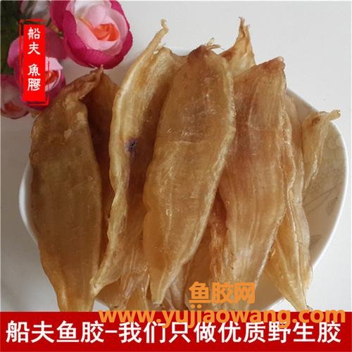 赤鱼胶多少钱一斤(鳘鱼胶多少钱一斤)