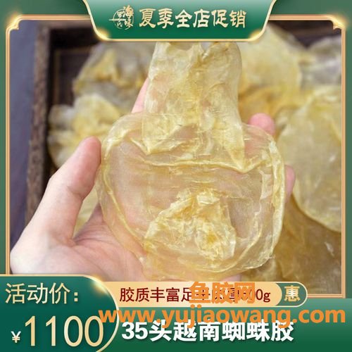 蜘蛛胶图片大全(蜘蛛种类图片简介大全)