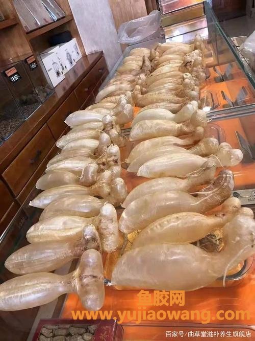 甲状腺结节可以吃鱼胶的功效(甲状腺结节可以吃鱼胶吗)