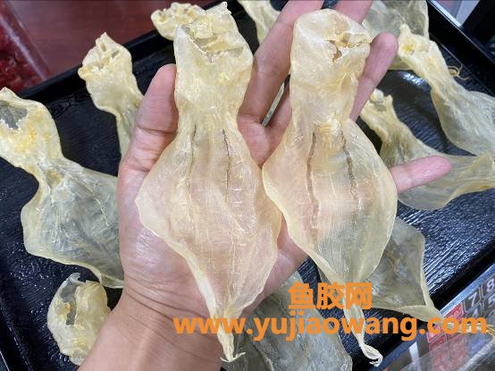 溪沃白花胶功效(白花胶的功效与作用)