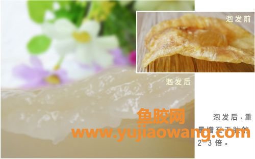 如何辩别真假鱼胶(如何辨别真假鱼胶)