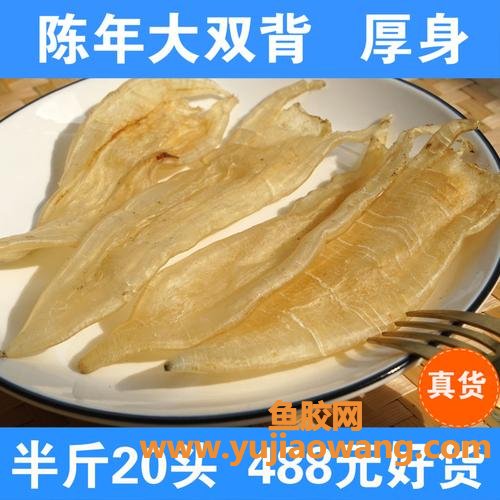 北海双背鱼胶的功效(北海公鱼胶的功效与作用)