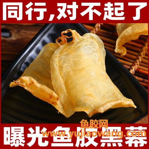 六耳赤嘴鱼胶的价格(六耳赤嘴鱼胶功效)