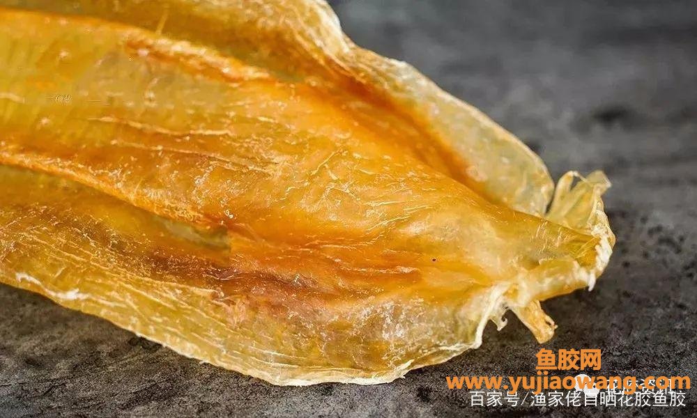 一斤半黄唇干鱼胶多少钱一斤