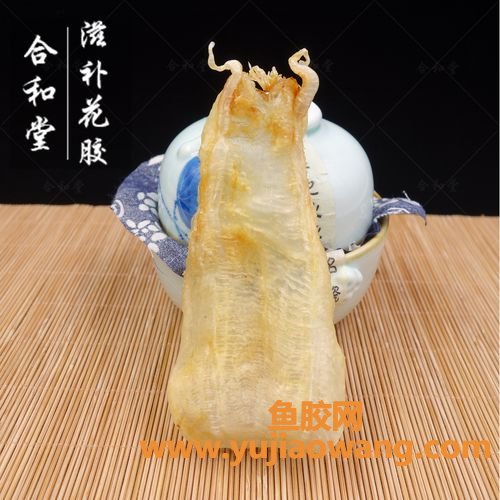 怀孕能吃鱼胶嘛(怀孕几个月可以吃鱼胶)