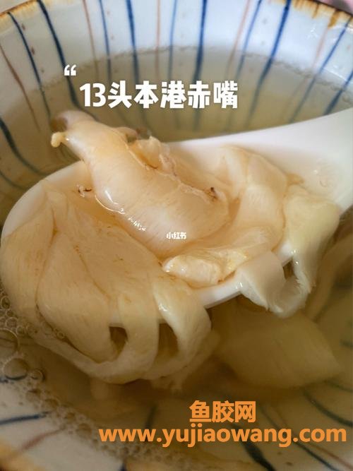 怀孕能吃鱼胶(怀孕吃鱼胶好还是燕窝)