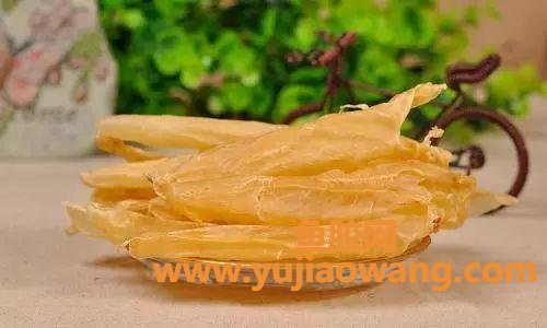 怀孕能不能吃鱼胶炖肉
