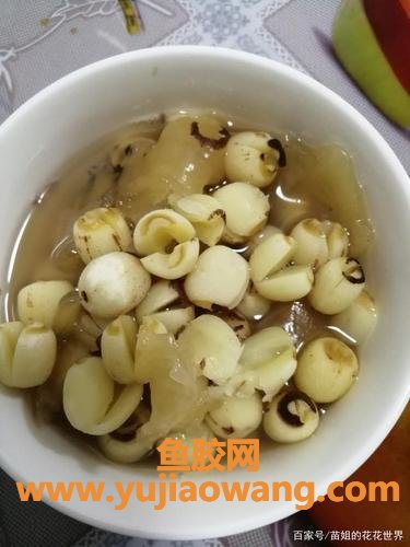 怀孕可以吃鱼胶炖莲子吗(怀孕吃鱼胶炖什么好)
