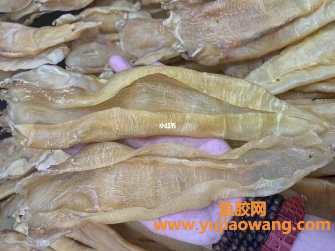 怀孕了可以吃鱼胶(怀孕了可以吃鱼胶和羊肚菌炖汤吗)