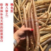 鳝鱼胶价格多少钱一斤(鳝鱼钩价格多少)