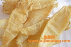 鱼胶的营养价值(鱼胶的功效与作用及营养价值)