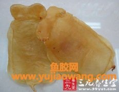 鱼胶起什么作用(鱼胶补什么)