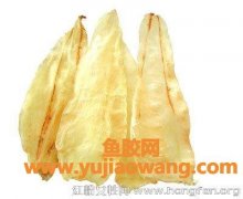 鱼胶的种类和功效介绍(各类鱼胶的种类及功效)
