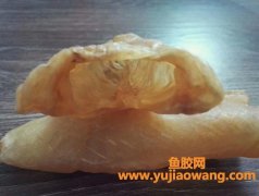 鱼胶的区别(鳝胶和鱼胶的区别)