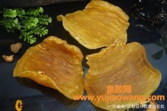 鱼胶有什么营养价值(鱼胶的成分和营养价值)