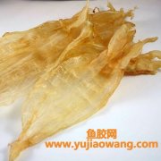 鱼胶哪种鱼好(新西兰鱼胶是哪种鱼)