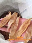 鱼胶和花胶有什么不同(什么是鱼胶花胶)