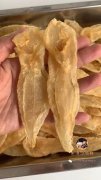 鱼胶八大功效(斗湖鱼胶的功效与作用)