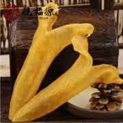 赤鱼胶和黄花胶哪个好(大口鱼胶和黄花胶哪个好)
