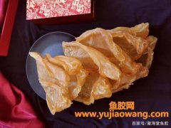 赤嘴鱼胶哪种最好(赤嘴鱼胶哪种最好 月子)