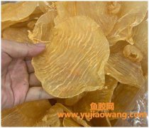 赤嘴鱼胶一斤16头多少钱(小赤嘴鱼胶一斤120头)
