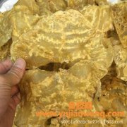 石斑鱼胶和黄花胶哪个好(佐罗胶和黄花胶哪个好)