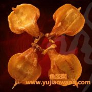 石肚鱼胶的价位(泰国石肚鱼胶)