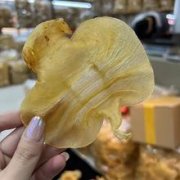 石肚鱼胶图片(石肚鱼胶一斤多少钱)