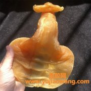 石肚鱼胶产地哪里(国内鱼胶产地哪里比较好)