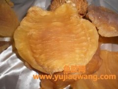 大花胶和小花胶营养有没差别