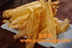 双背鱼胶的功效(双背鱼胶的功效和作用)