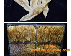 双背胶好还是黄花胶好(双背胶和黄花胶哪个好)