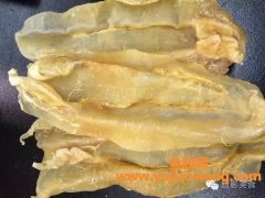 十大鱼胶品种排行榜(中国鱼胶十大排名)
