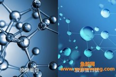 全国排前十名的胶原蛋白(胶原蛋白全国排行榜)