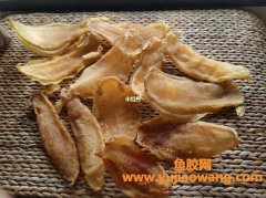 两三百的鱼胶有用吗