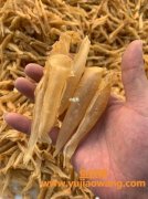 鱼板胶功效与作用(鱼板的功效与作用)