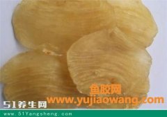 高中生吃鱼胶的好处(坐月子吃鱼胶有什么好处)