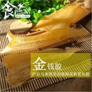 金钱鮸鱼胶一克多少钱(金钱金钱鳘鱼胶一斤多少钱)