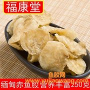 赤鱼胶图片大全(金钱鱼胶图片大全)