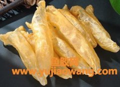 莽撞胶和魭鱼胶哪个好