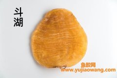 石斑鱼胶与鱼扣的区别(石斑鱼和黑头鱼区别)