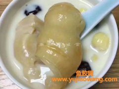 甲状腺癌可以吃鱼胶吗(甲状腺癌可以吃鱼胶吗)
