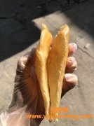 溪沃白花胶和印尼白花胶区别