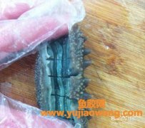 横置鱼胶的寓意(鱼胶送礼的寓意)