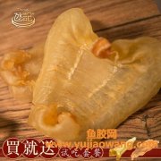 敏肚与花胶的区别(鲜鱼肚和花胶的区别)