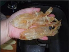 假花胶浸泡特征絮状(假花胶浸泡特征图片)