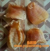 六耳赤嘴鱼胶功效(六耳赤嘴鱼胶有收藏价值吗)