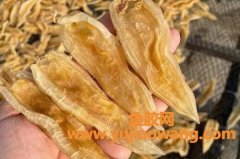 为什么叫双背鱼胶(为什么叫斗湖鱼胶)