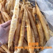 一级老鳗鱼胶价格多少钱