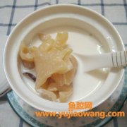 怀孕鱼胶能吃吗(怀孕吃鱼胶好还是燕窝)